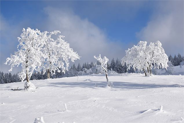 Plateau de Retord - © Philippe Carrara