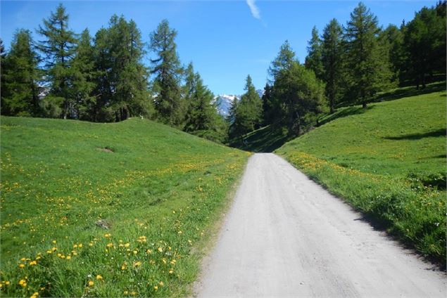 Col du Lein