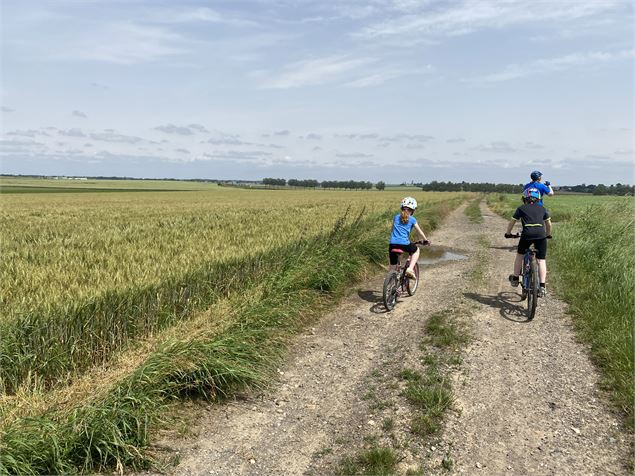 Boucle vélo au départ d'Ars-sur-Formans, Ain - Romain CAVALLERO