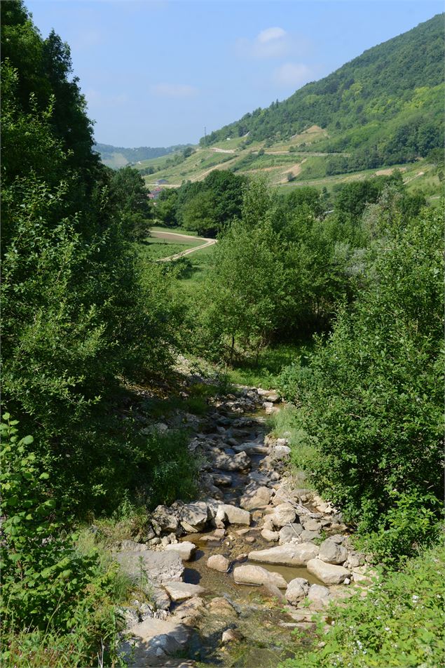 Cascade de la Culaz - Cerdon - JF BASSET