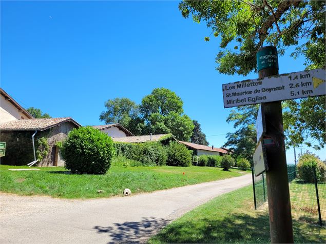 Ferme de Margnolas - Christine Sola DCT