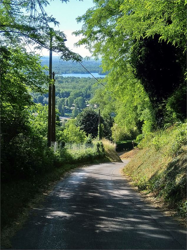 Vue sur le lac de Miribel Jonage - Christine Sola DCT