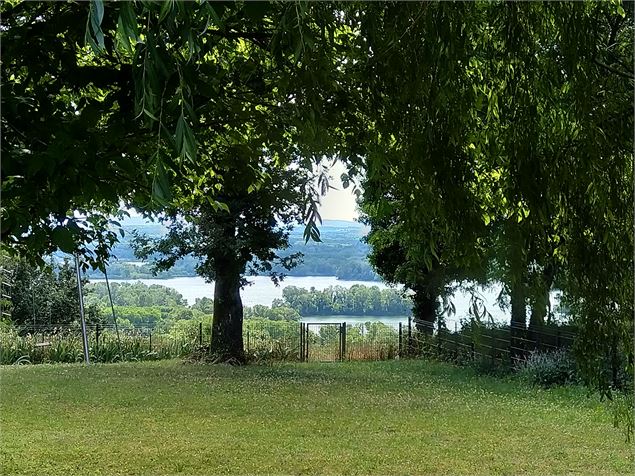 Vue sur le Grand Parc Miribel Jonage - Christine Sola DCT