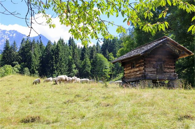 Charousse - OT Vallée de Chamonix MB