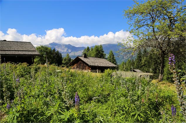 Charousse - OT Vallée de Chamonix MB