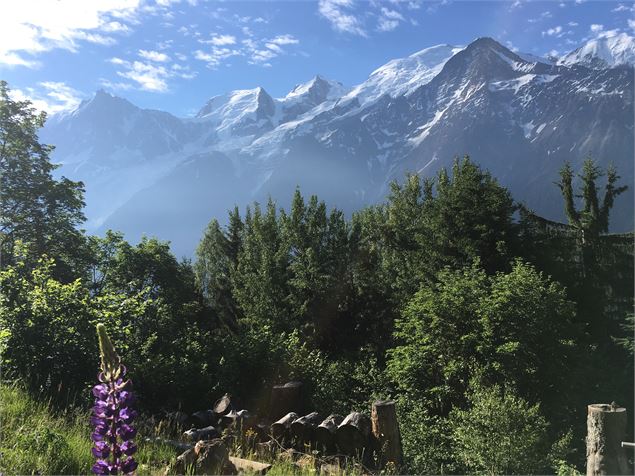 merlet - aiguillette des Houches