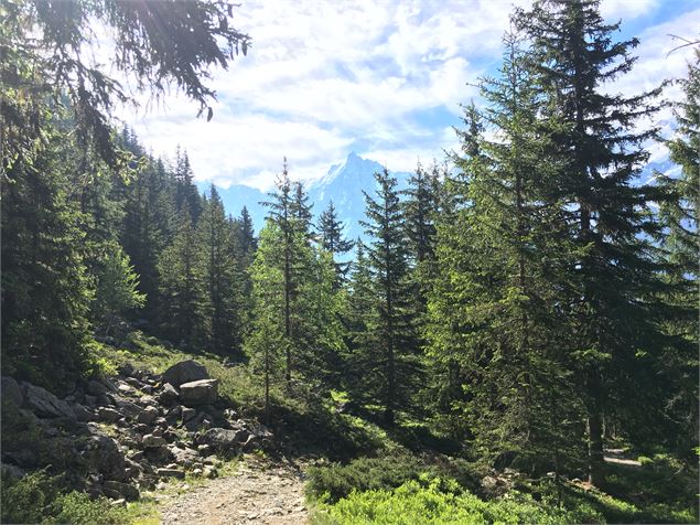 sentier aiguillette des Houches