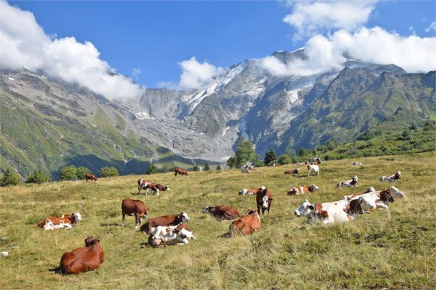 L'alpage du Truc - Gilles Lansard / Les Contamines Tourisme