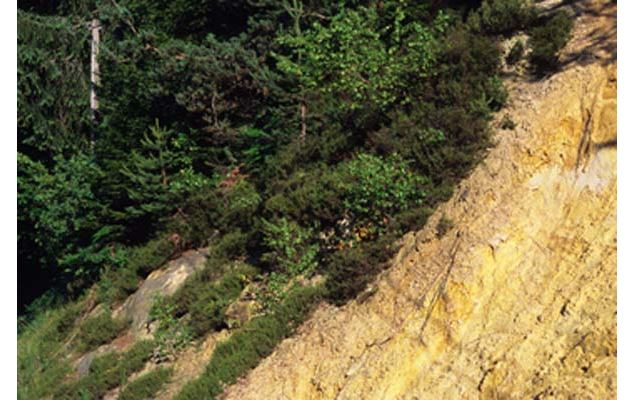 sable des carrières de silice - Eric DURR