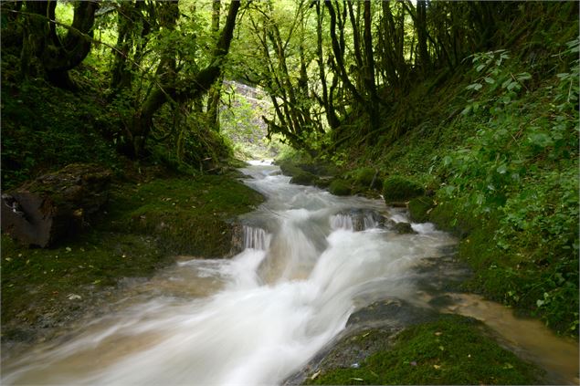 Ruisseau à Boyeux-Saint-Jérôme - JF Basset