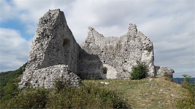 Ruines du Château de Chaumont