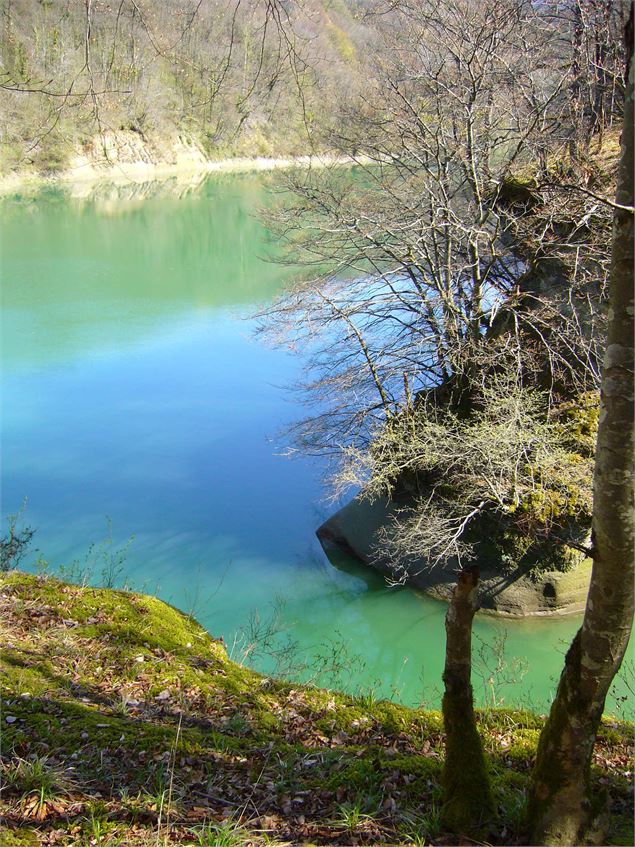 Tine de Parnant - Laurent Madelon