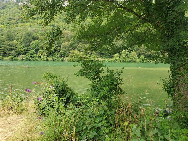 Vue sur la rivière d'Ain - Christophe Kaderabek - Haut Bugey Tourisme