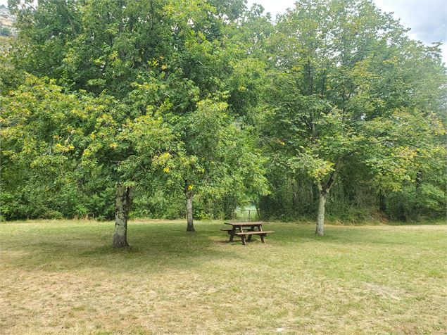 Table de pique nique le long de la rivière d'Ain - Christophe Kaderabek - Haut Bugey Tourisme