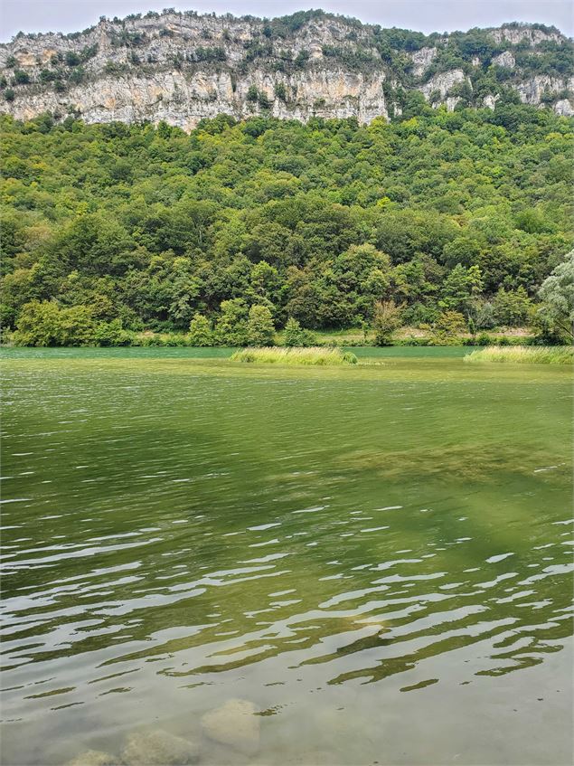 Vue sur la rivière d'Ain - Christophe Kaderabek - Haut Bugey Tourisme