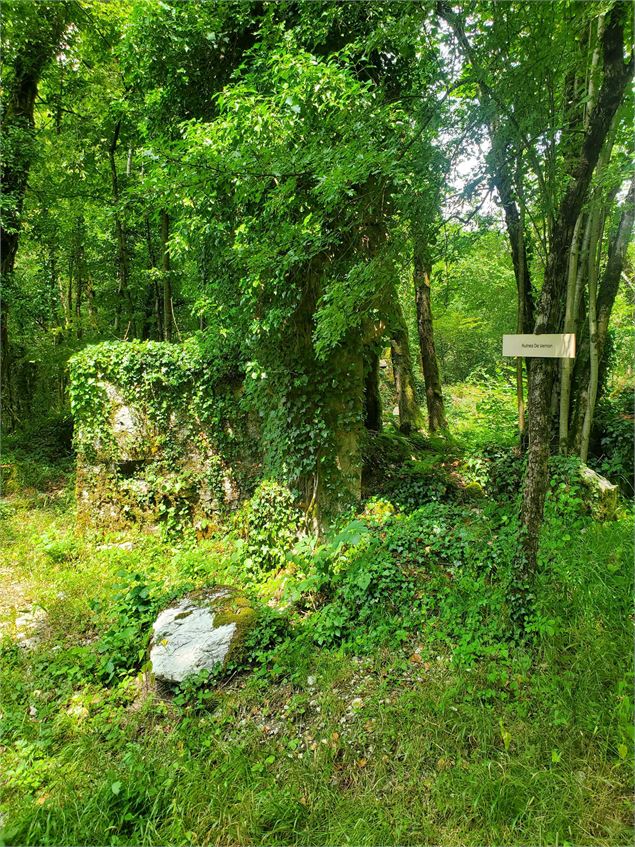 Ruines de Vernon - Christophe Kaderabek - Haut Bugey Tourisme