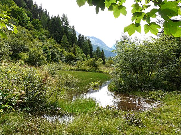 Zone humide - @ Savoie Mont Blanc Boileau