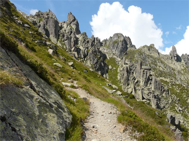 TMB sentier - @ Savoie Mont Blanc Boileau