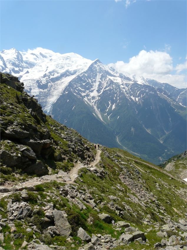 TMB sentier - @ Savoie Mont Blanc Boileau