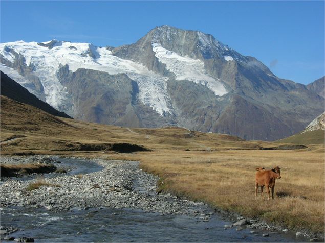 Haute Route Glaciaire - Vallon du Clou 2 - K.Mandray