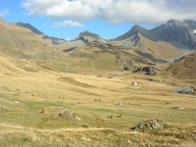 alpages du vallon du clou - K.Mandray