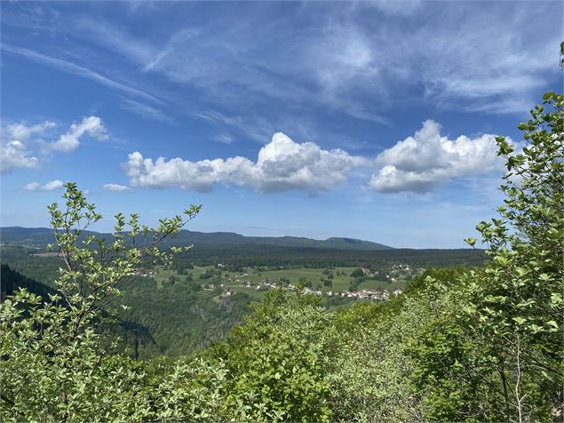 Vue panoramique - Alizée Gréau