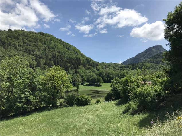 Marais d'Yvoray - Praz de Lys Sommand Tourisme