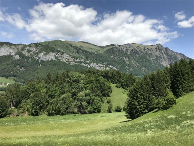 Vue sur le Pic de Marcelly - Praz de Lys Sommand Tourisme