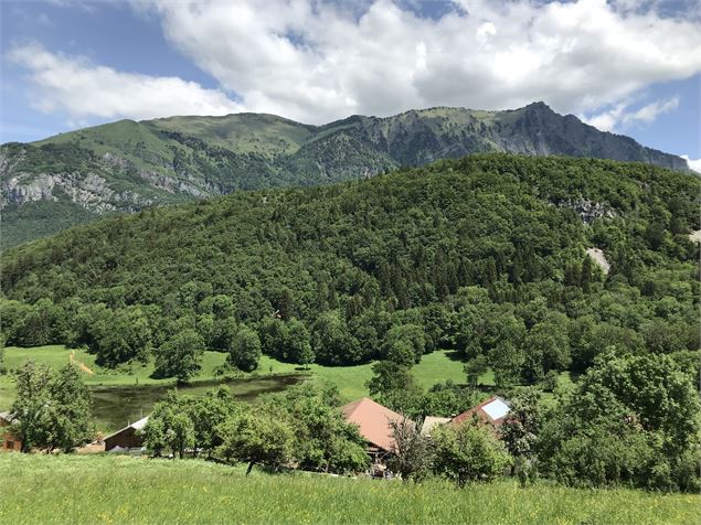 Vue sur le Marcelly - Praz de Lys Sommand Tourisme