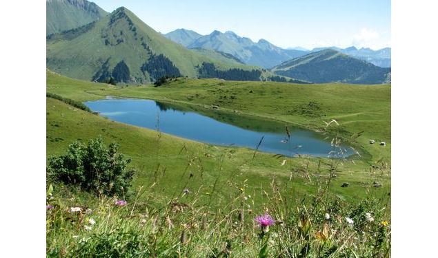 Le lac de Roy - Praz de Lys Sommand Tourisme