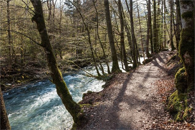 Chemin des bords de dranse - Yvan Tisseyre/OT Vallée d'Aulps