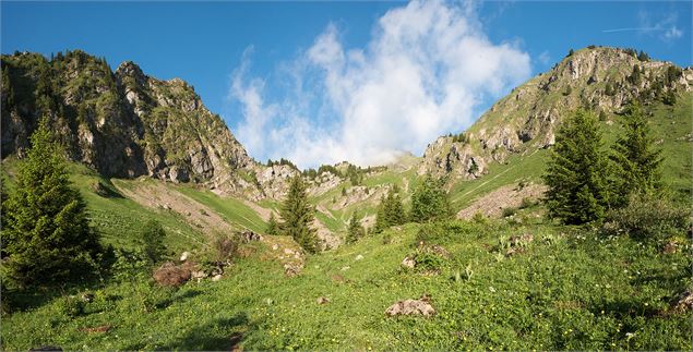 La Chaux de Vie - Yvan Tisseyre / OT Vallée d'Aulps