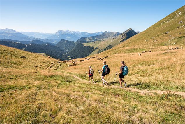 Descente du col Ratti vers le col de la Basse - Yvan Tisseyre / OT Vallée d'Aulps