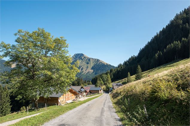 Montée par la route du hameau des places à Graydon - Yvan Tisseyre / OT Vallée d'Aulps