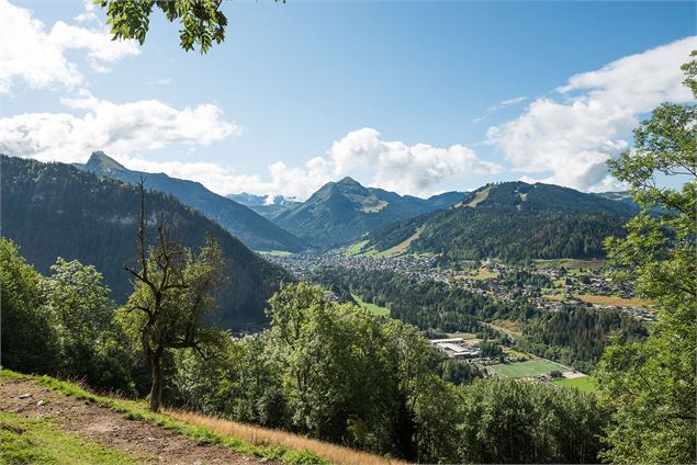 Vue depuis les Guéritolles - Yvan Tisseyre / OT Vallée d'Aulps