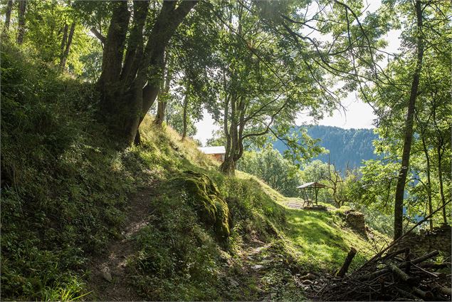 Arrivée aux Guéritolles - Yvan Tisseyre / OT Vallée d'Aulps