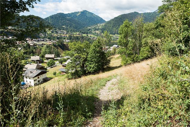 Sortie de la forêt sur le chemin du retour - Yvan Tisseyre / OT Vallée d'Aulps