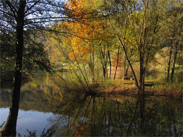 Lac Saint Clair : île - Jocelyne Bianchini ATD73