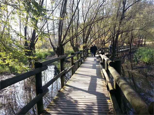 Lac St Clair passerelle de bois - Jocelyne Bianchini ATD73