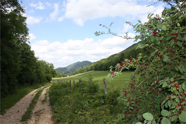 Combe de Vaux - Lacroix