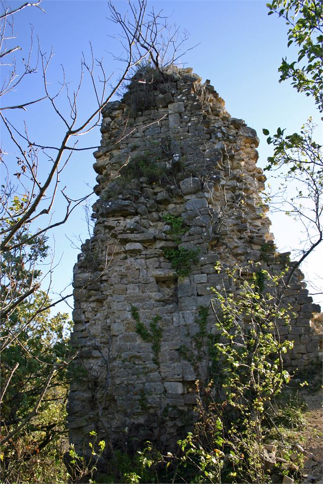 Ruines de Montfort - Lacroix