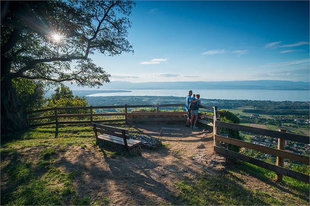 Vue depuis les châteaux des Allinges - SIAC- Photographe A.Berger