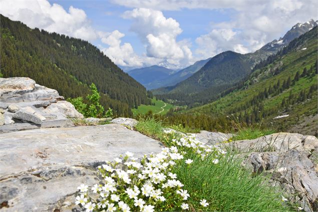 La Rollaz, sur l'itinéraire du col du Bonhomme - Les Contamines Tourisme