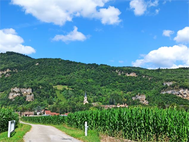 Chemin d'Assise en arrivant sur St Sorlin en Bugey - K.Tranchina