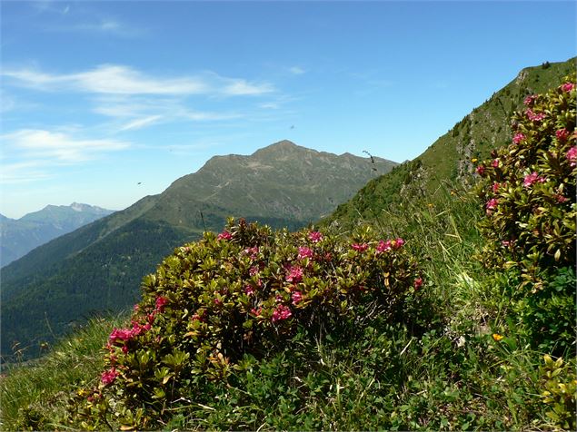 Les Alpages de Montsapey - OT Porte de Maurienne