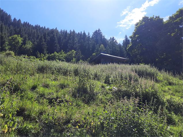 Sentier des Alpages - OT Porte de Maurienne