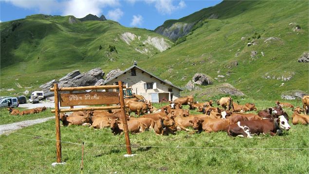 Départ Plan Pichu - La Plagne Vallée