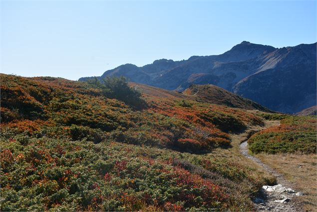 LE GRAND CHAT - OT PORTE DE MAURIENNE