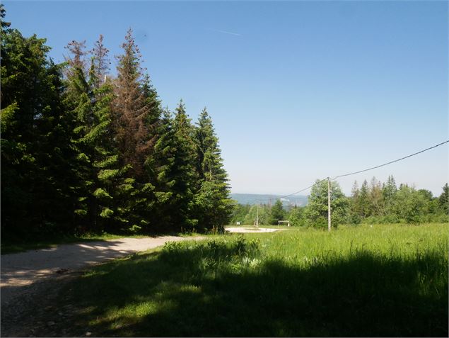 Route Belvédère de Planachat - Morgane Saillard