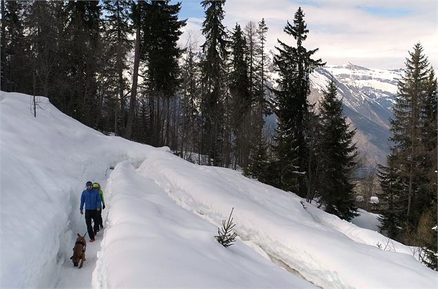 Sentier hivernal